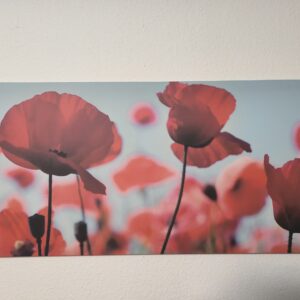 Leinwand mit Druck - Mohnblumen