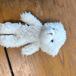 kleiner Stoffteddy